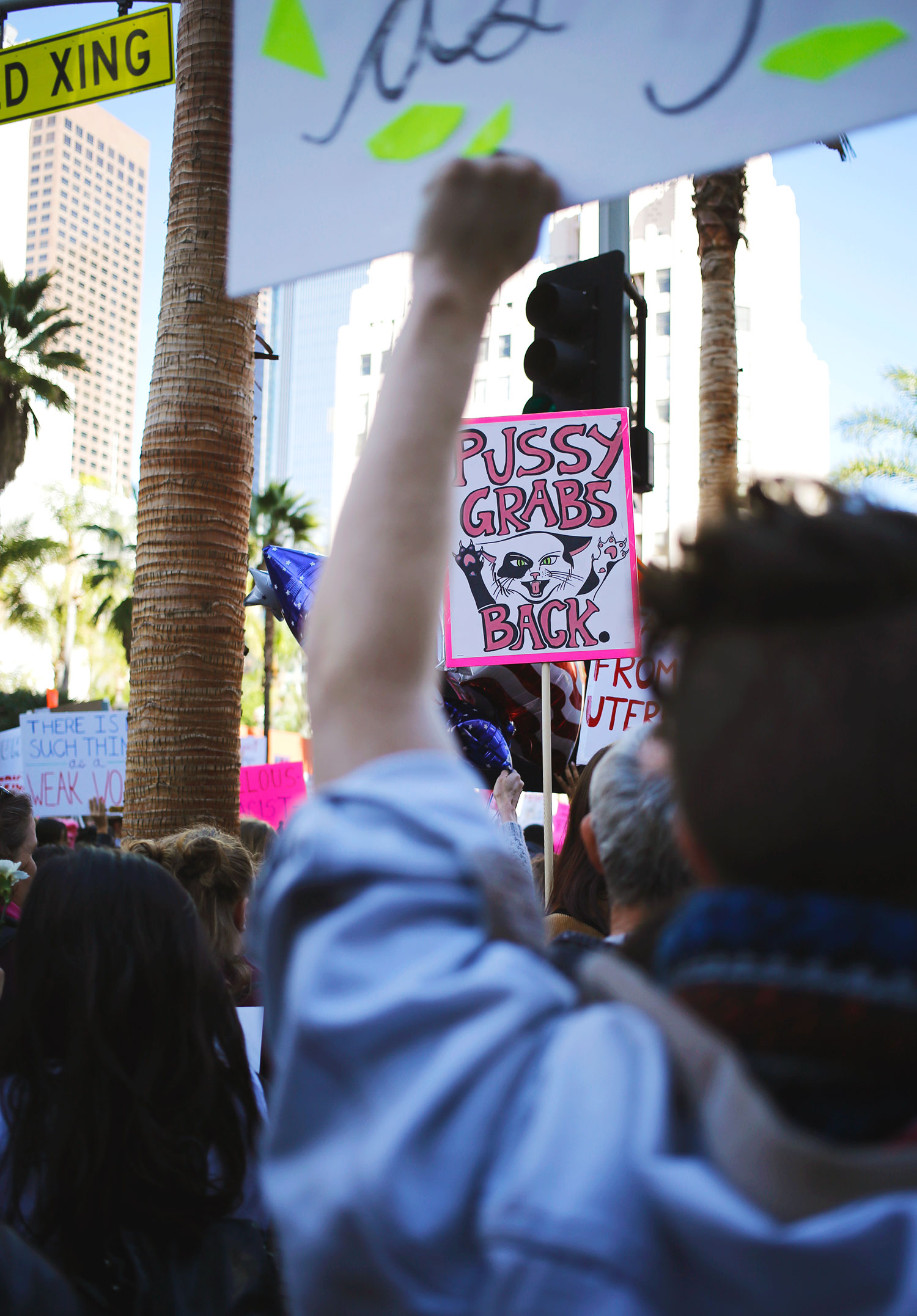 Womens_March_Los_Angeles_29